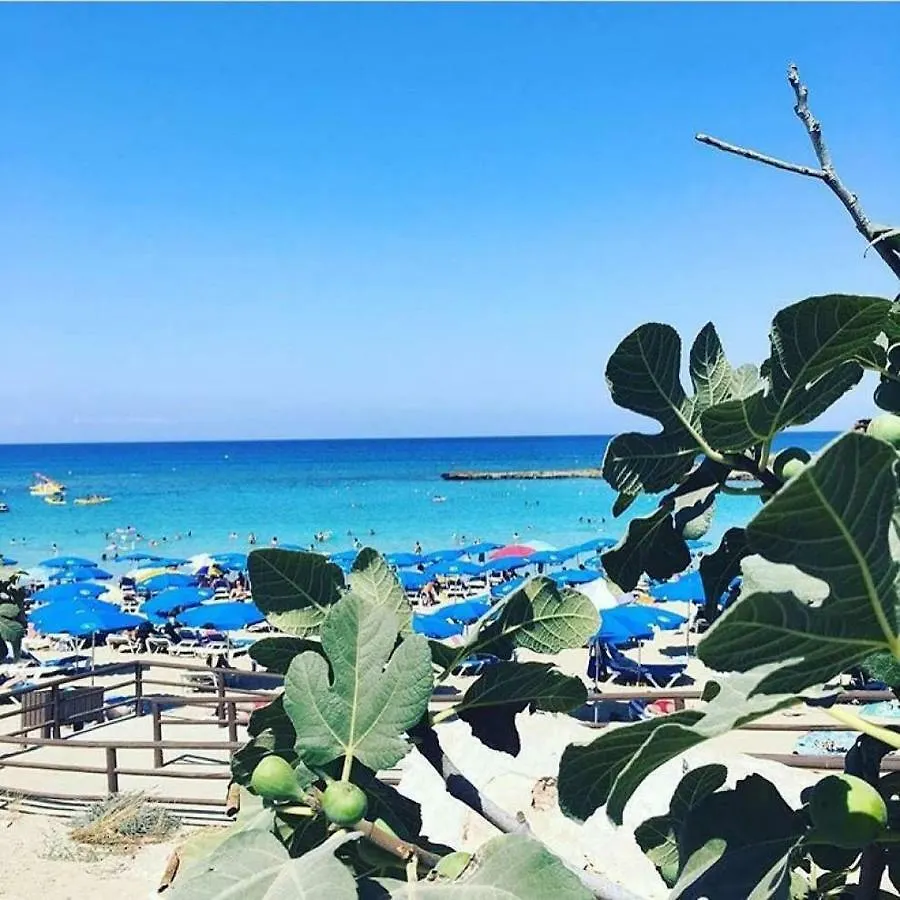 Fig Tree Giannis Apartment Protaras 0*,